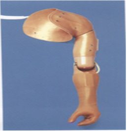 <!--<$[标题]>begin-->肩胛轮廓假肢<!--<$[标题]>end-->