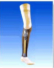 <!--<$[标题]>begin-->膝离断假肢<!--<$[标题]>end-->